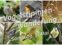 Vogelkundliche Exkursion