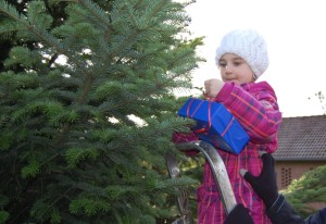 Weihnachtsbaum Heeßen 02.12.15 02