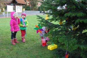 Weihnachtsbaum Heeßen 02.12.15 03