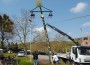 „Der Baum muss hoch“</br>Maibaum schmückt Schützenplatz