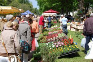 Bauernmarkt 12.05.16 01