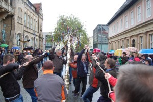 Maibaum 01.05.16 01