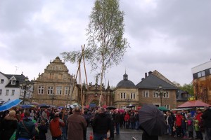 Maibaum 01.05.16 04