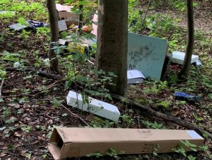 Mullentsorgung Im Wald Buckeburg Lokal Buckeburg Lokal