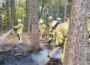 Feuerwehren verhindern Waldbrand