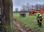 Mercedes kracht frontal gegen Baum